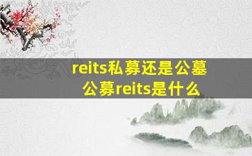 reits私募还是公墓 公募reits是什么